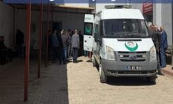 Genç Doktor Meryem Ariç hayatını kaybetti