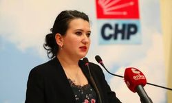 Gökçe Gökçen'den 'Ömer Günel' tepkisi: Erdoğan’ın canı öyle istiyor, Akın Gürlek’in arkadaşları yapıyor!