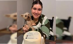 İçerik üreticisi Aslı Tümer kimdir, nereli, kaç yaşında?