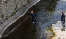 İzmir Büyükşehir Belediyesi vektörle mücadeleye devam ediyor