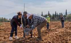 Büyükşehir, Kemalpaşalı çiftçinin umutlarını yeniden filizlendirdi