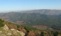 CHP’li Karakülçe’den Kemalpaşa'da orman vasfından çıkarılan alana TOKİ iddiası