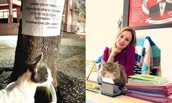 İzmir’de “Hayvansever Okul” modeli uygulaması