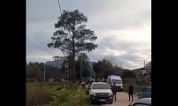 Kamyonetin kasasından düşen kadın hayatını kaybetti