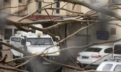 Kan donduran olay! Eşini öldürüp kuzenini yaralayan şahıs tutuklandı