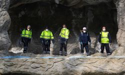 Kemalpaşa’da haşereyle mücadele seferberliği