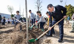 Kültürpark’ta beton alanlar yeşile dönüşüyor