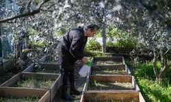 Meslek Fabrikası’ndan üretime: Topraktan umut yeşerdi