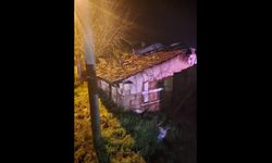 Müstakil evde çıkan yangında 1 kişi hayatını kaybetti