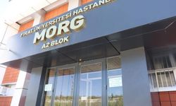 Oğlunu bıçaklayan kişiyi av tüfeğiyle öldürdü