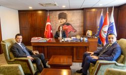 Sahipsiz hayvanlar için ‘Doğal Yaşam Alanı’ kuruluyor