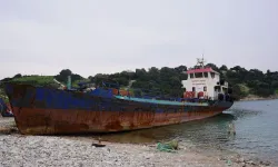 Şebnem Bursalı'dan gemi sökümü yapan firmaya tepki