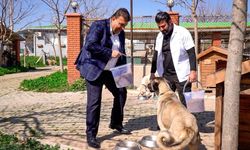 Seferihisar’da gıda atıkları mamaya dönüşüyor