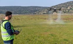 Sivrisinek ve zararlılara karşı İzmir modeli