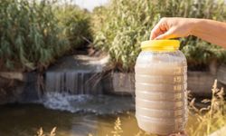 Tarım ve sanayi atıklarıyla kirlenen Gediz İzmir Körfezi’ne akıyor