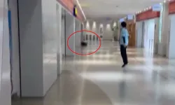 Tokyo’daki AVM’de bıçaklı saldırı dehşeti: 2 ölü!