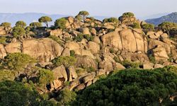 TRT Belgesel ‘Dağ Gibi’ nerede çekildi?