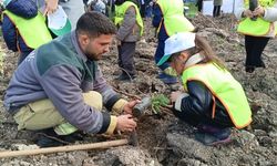Yanan ormanlar yeniden yeşeriyor: Aliağa’da fidanlar umut oldu