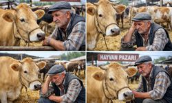 Mazot ve yem fiyatları ‘Sarı kız’ı satışa çıkarttı