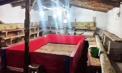 Yasa dışı horoz dövüşüne suçüstü: 23 kişiye ceza kesildi