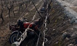 Yoldan çıkan motosiklet üzüm bağına uçtu: Sürücü olay yerinde hayatını kaybetti