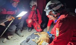 Beton içinde can pazarı! ‘Paris’ 7 saatlik operasyonla kurtarıldı