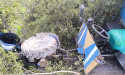 Zeytinliğe uçan patpatın sürücüsü hayatını kaybetti