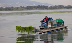 Çakalburnu Lagünü’nde temizlik çalışması