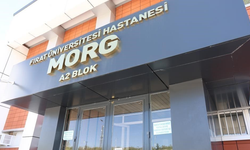 2 gündür haber alınamayan şahıs ölü bulundu