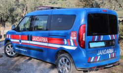 52 yaşındaki adam ağaca asılı halde bulundu