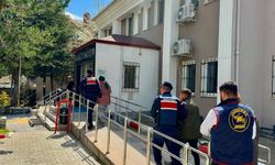 Canına kıydı denilen Alev Karagöz’ün katledildiği ortaya çıktı