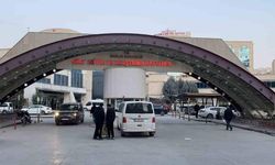 Ağaç budarken kolunu kesti, hayatını kaybetti