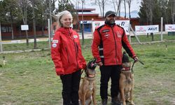 Arama kurtarma köpekleri Dünya Şampiyonası’nda Türkiye heyecanı