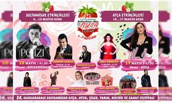 Aydın'da Çilek Festivali heyecanı: Geri sayım başladı