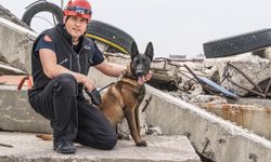 Barınaktan kahramanlığa: Momo enkaz için eğitiliyor