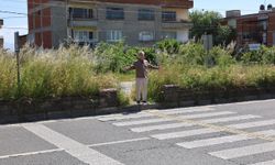 Başkan Tetik yetkililere seslendi: Bu görüntüler Nazilli'ye yakışmıyor!