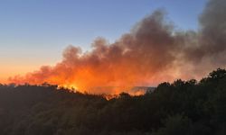 Beykoz’da orman yangını yeniden alevlendi: Karadan müdahale sürüyor