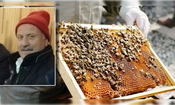 Boğazından arı sokan şahıs kurtarılamadı