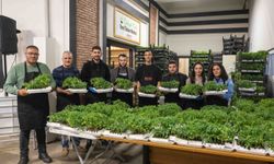 Bornova'da 382 bin fideyle yaz bereketi başlıyor