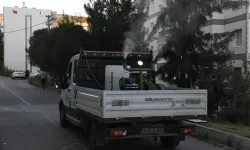 Çiğli’de sivrisinek ve haşerelere karşı kapsamlı mücadele