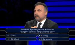 Dalgan ne demek? Dalgan hangi anlama gelir? Dalgan otu nedir?