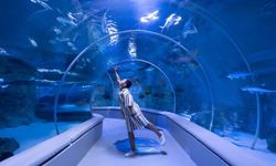 Emaar Akvaryum nerede? Emaar Akvaryum nasıl gidilir, fiyatı ne kadar?