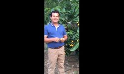 Eski muhtar apartman boşluğuna düşerek hayatını kaybetti