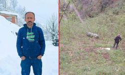 Fındık bahçesine devrilen otomobilin sürücüsü öldü