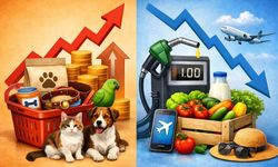 Fiyatı en çok artan ve azalan ürünler: İşte Mart ayının zam şampiyonu!