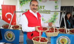 Geçen sene hasret kaldığımız kiraz bu sene sofraların baş tacı olacak