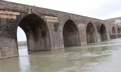 Dicle Nehri'nde genç kız intihar girişiminde bulundu!