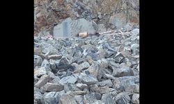 İşe başladıktan bir gün sonra hayatını kaybetti