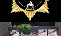 İzmir Konak’ta u*uşturucu serasına polis baskını: Çok sayıda madde ele geçirildi, 1 kişi tutuklandı