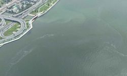 İzmir Körfezi’nde kirlilik alarmı: 6 ayda 11’inci vaka!